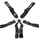 Schroth GT3 6-point Racing Harness