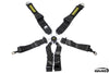 Schroth GT3 6-point Racing Harness
