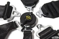 Schroth GT3 6-point Racing Harness