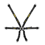 Schroth Flexi 2x2 Racing Harness