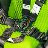 Schroth GT3 6-point Racing Harness