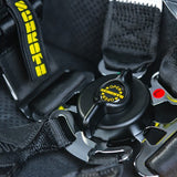 Schroth GT3 6-point Racing Harness